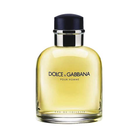 Amazon.com: Dolce Gabbana